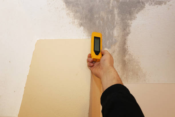 Best Mold Remediation for Healthcare Facilities  in Indian Rocks Beach, FL